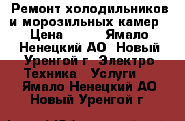 Ремонт холодильников и морозильных камер › Цена ­ 500 - Ямало-Ненецкий АО, Новый Уренгой г. Электро-Техника » Услуги   . Ямало-Ненецкий АО,Новый Уренгой г.